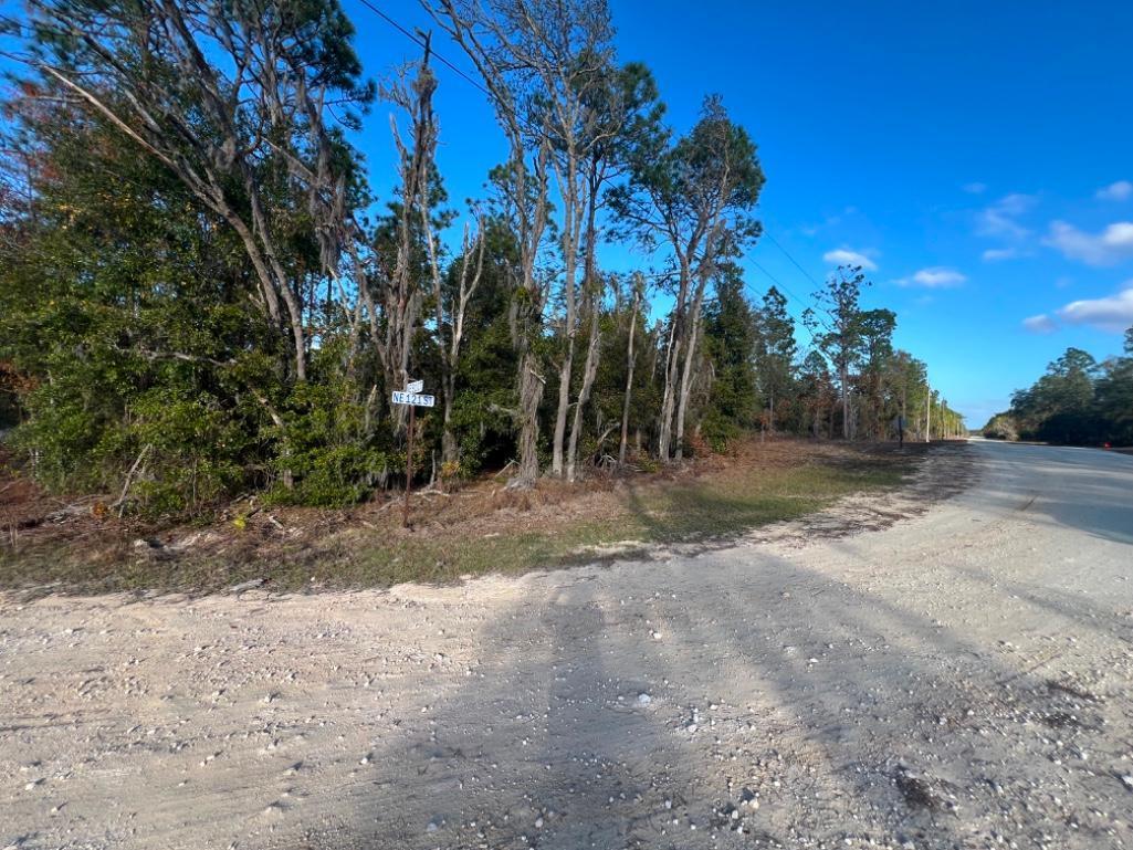 4.37 acre lot with Old Mobile Home - Archer, FL
