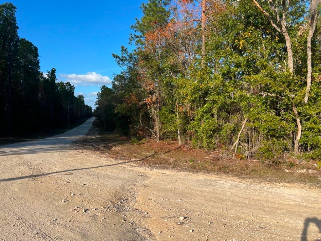4.37 acre lot with Old Mobile Home - Archer, FL