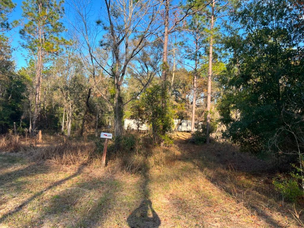 4.37 acre lot with Old Mobile Home - Archer, FL