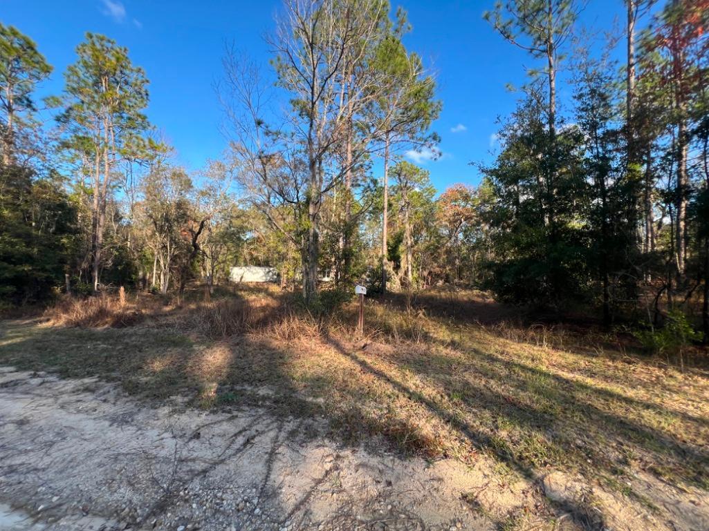 4.37 acre lot with Old Mobile Home - Archer, FL
