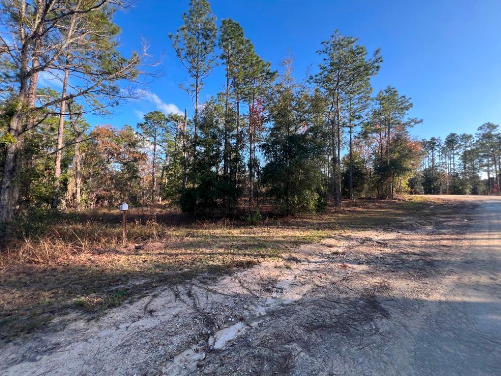 4.37 acre lot with Old Mobile Home - Archer, FL