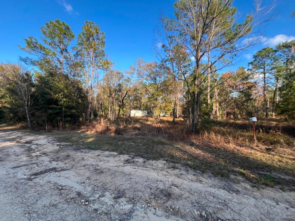 4.37 acre lot with Old Mobile Home - Archer, FL
