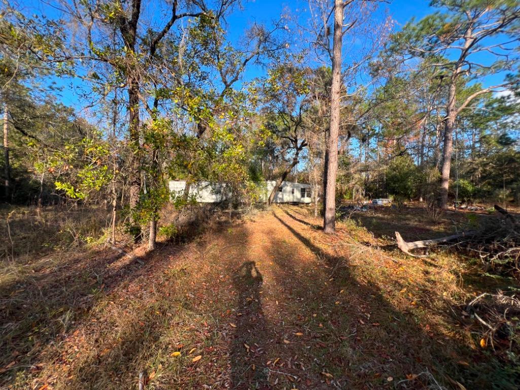 4.37 acre lot with Old Mobile Home - Archer, FL
