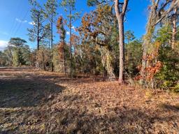 4.37 acre lot with Old Mobile Home - Archer, FL