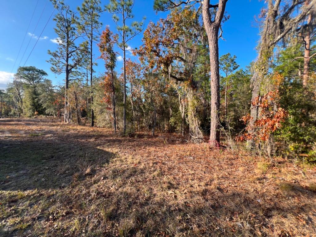 4.37 acre lot with Old Mobile Home - Archer, FL