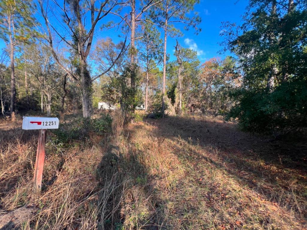 4.37 acre lot with Old Mobile Home - Archer, FL