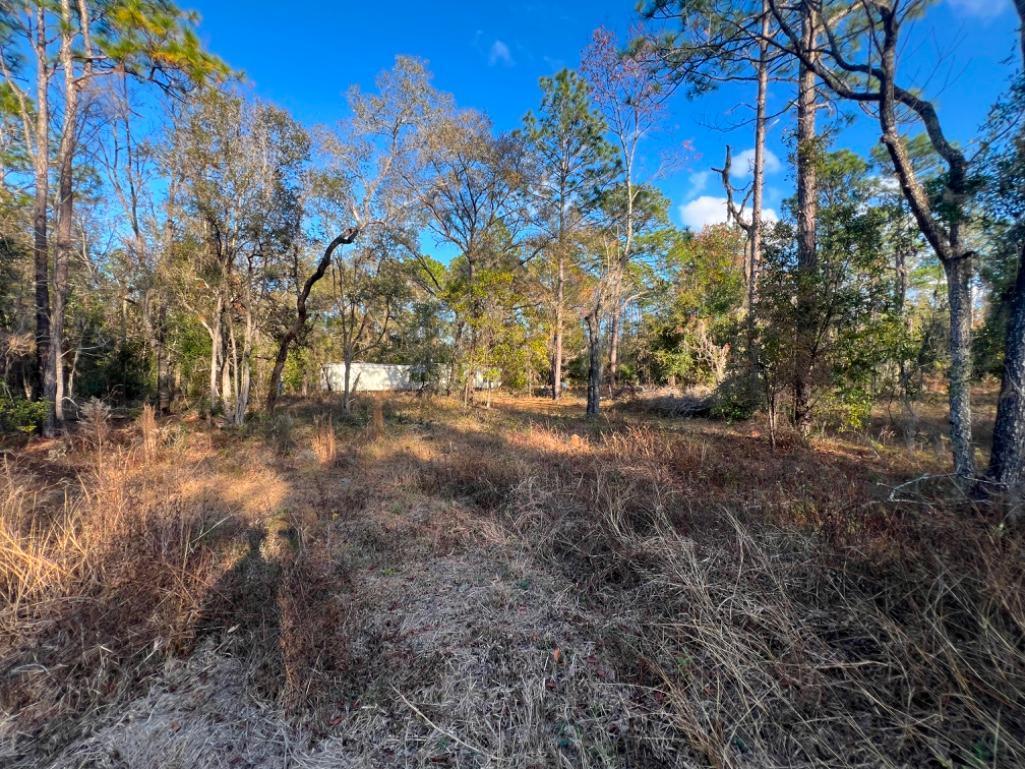 4.37 acre lot with Old Mobile Home - Archer, FL