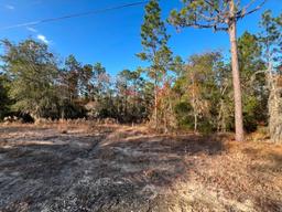 4.37 acre lot with Old Mobile Home - Archer, FL