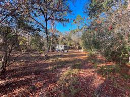 4.37 acre lot with Old Mobile Home - Archer, FL