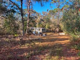 4.37 acre lot with Old Mobile Home - Archer, FL