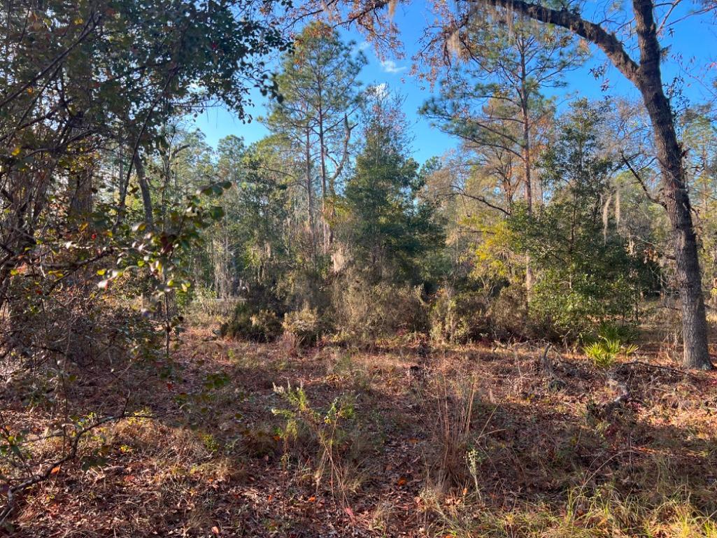 4.37 acre lot with Old Mobile Home - Archer, FL