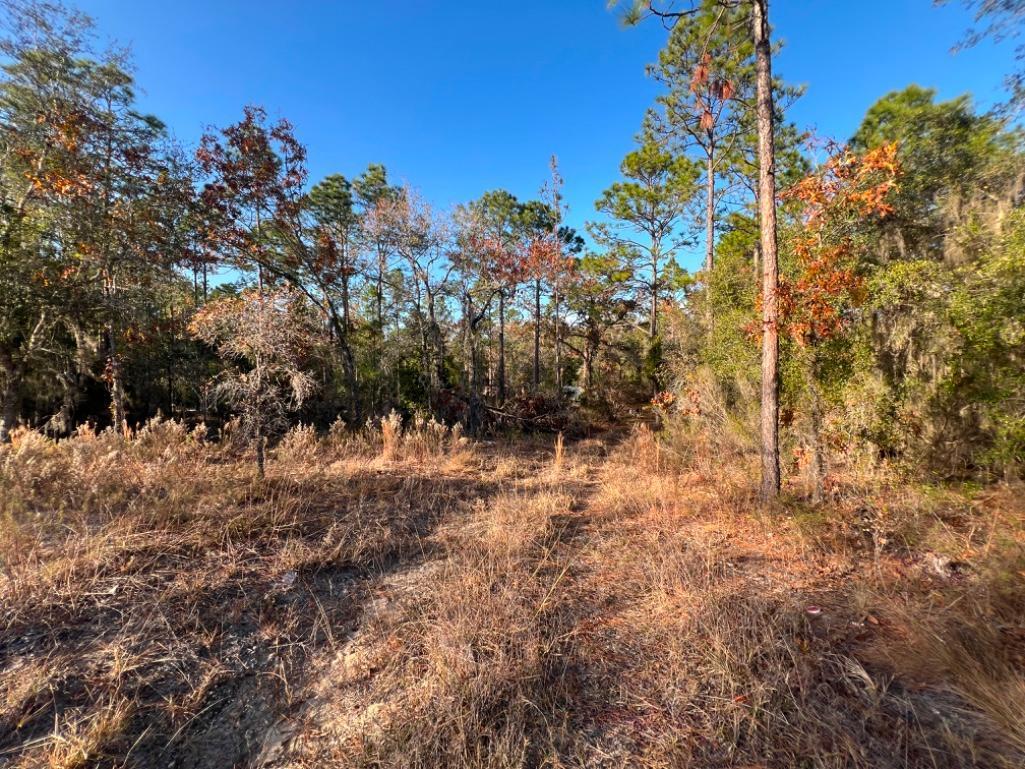 4.37 acre lot with Old Mobile Home - Archer, FL