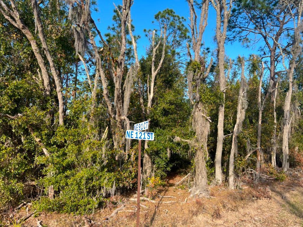 4.37 acre lot with Old Mobile Home - Archer, FL