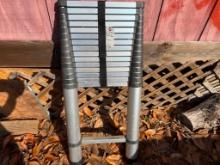 Telescoping Ladder