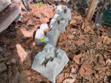 (4) Concrete Deck Blocks / Supports