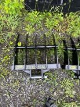 1232 Excavator Rake