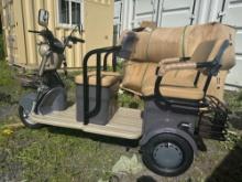 6612 New 3 Person Electric Cart