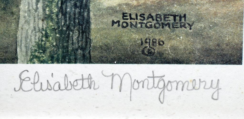 Eliz. Montgomery (Amer., XX) Signed Ltd. Ed. Print (1381/2000) “Table Rock from River Bluff”