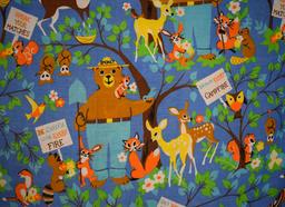 Vintage Pair of Fieldcrest “Smokey the Bear” Twin Size Bed Spreads