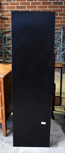SentrySafe Black Gun Cabinet with Keys