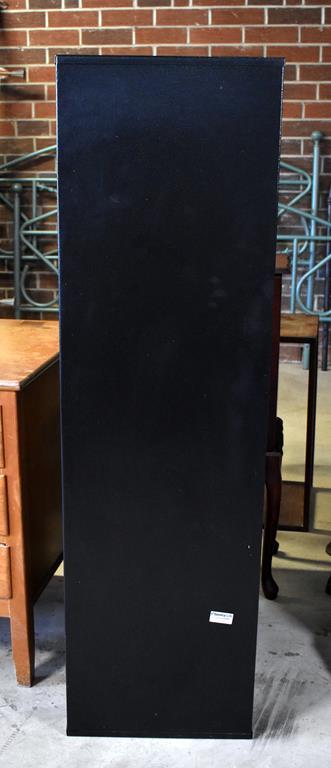 SentrySafe Black Gun Cabinet with Keys