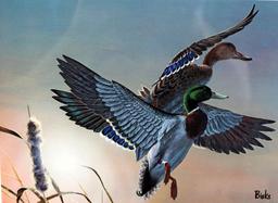 1982 SC Migratory Waterfowl Stamp Ltd. Ed. Print by Bob Binks (1523/4000), Artist Signed Stamp