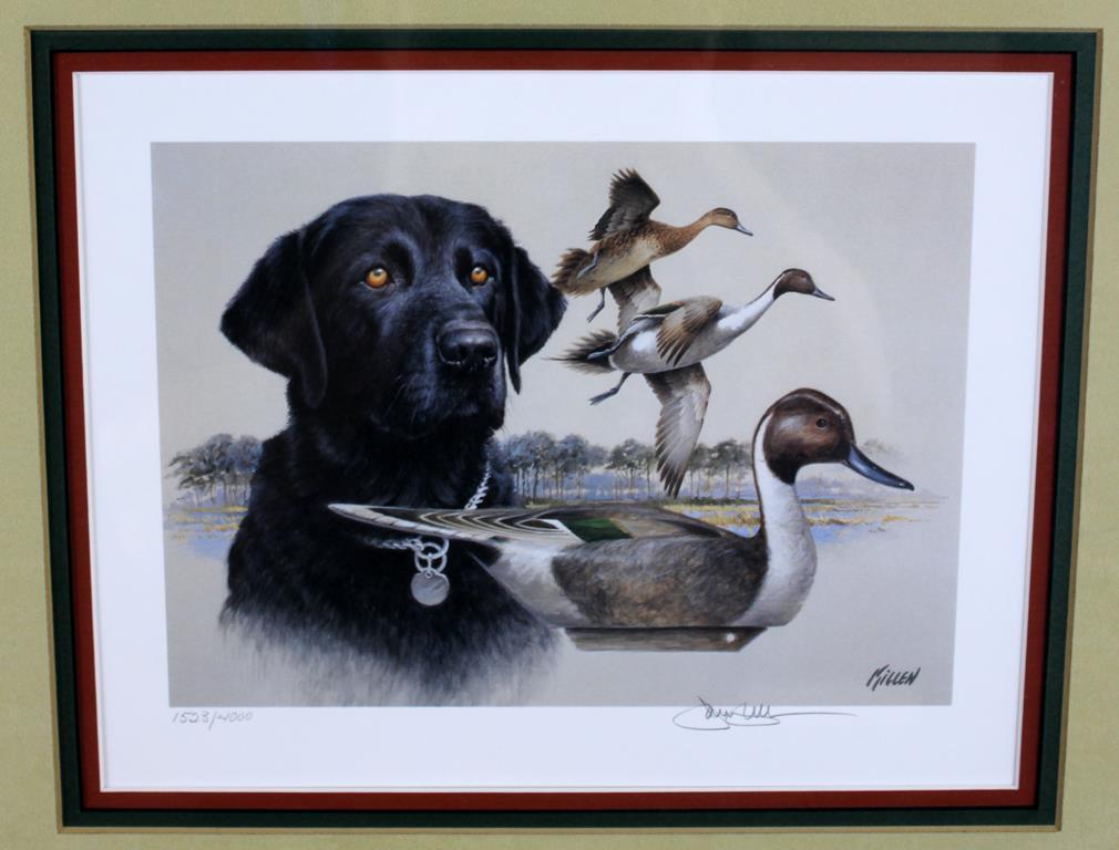 1991 SC Migratory Waterfowl Stamp Ltd. Ed. Print by Jim Killen (1523/4000)