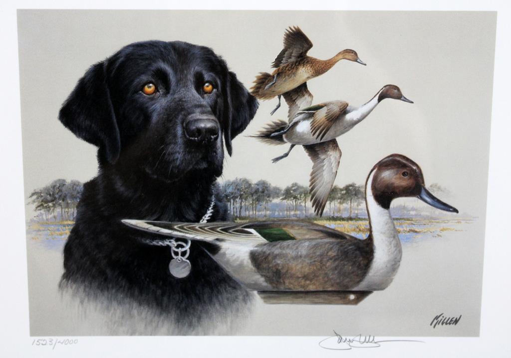 1991 SC Migratory Waterfowl Stamp Ltd. Ed. Print by Jim Killen (1523/4000)
