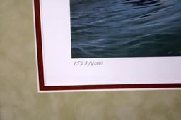 1986 SC Migratory Waterfowl Stamp Ltd. Ed. Print by Daniel Smith (1523/4000), Artist Signed Stamp