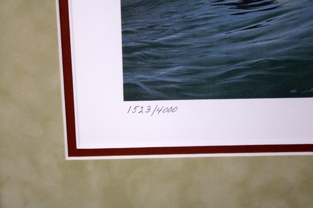 1986 SC Migratory Waterfowl Stamp Ltd. Ed. Print by Daniel Smith (1523/4000), Artist Signed Stamp