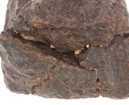 Northwest Africa (NWA) Chondrite Meteorite 102.7g