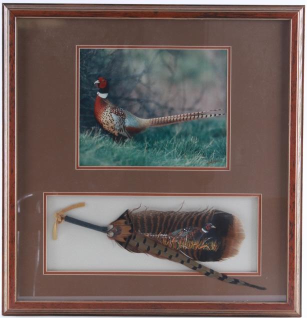 Rick Morkel Pheasant Photo & Painted Feather