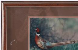 Rick Morkel Pheasant Photo & Painted Feather