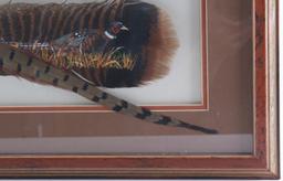 Rick Morkel Pheasant Photo & Painted Feather