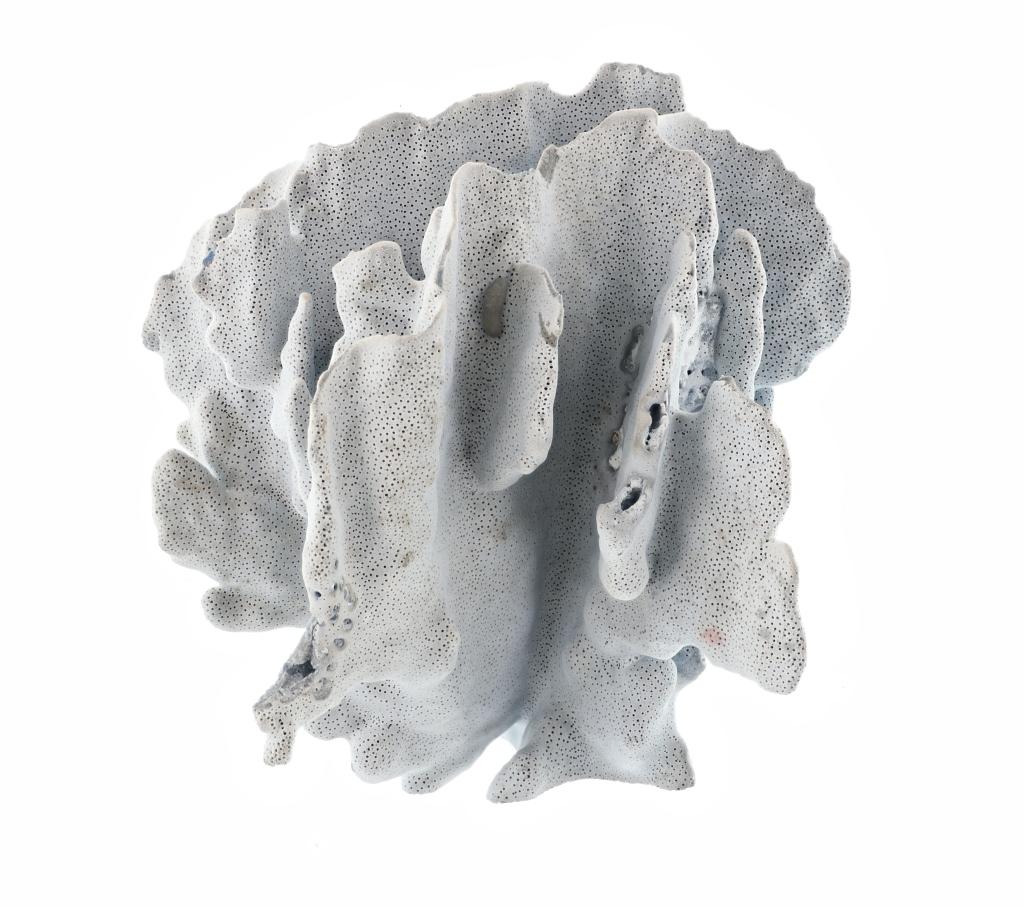 Vintage Blue Grayish Reef Petrified Coral Specimen