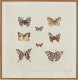 Sandy Scott Limited Ed. Butterfly Etching 1970-90s