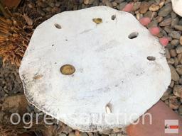 Yard & Garden - 3 sand dollar stepping stones, 12" round