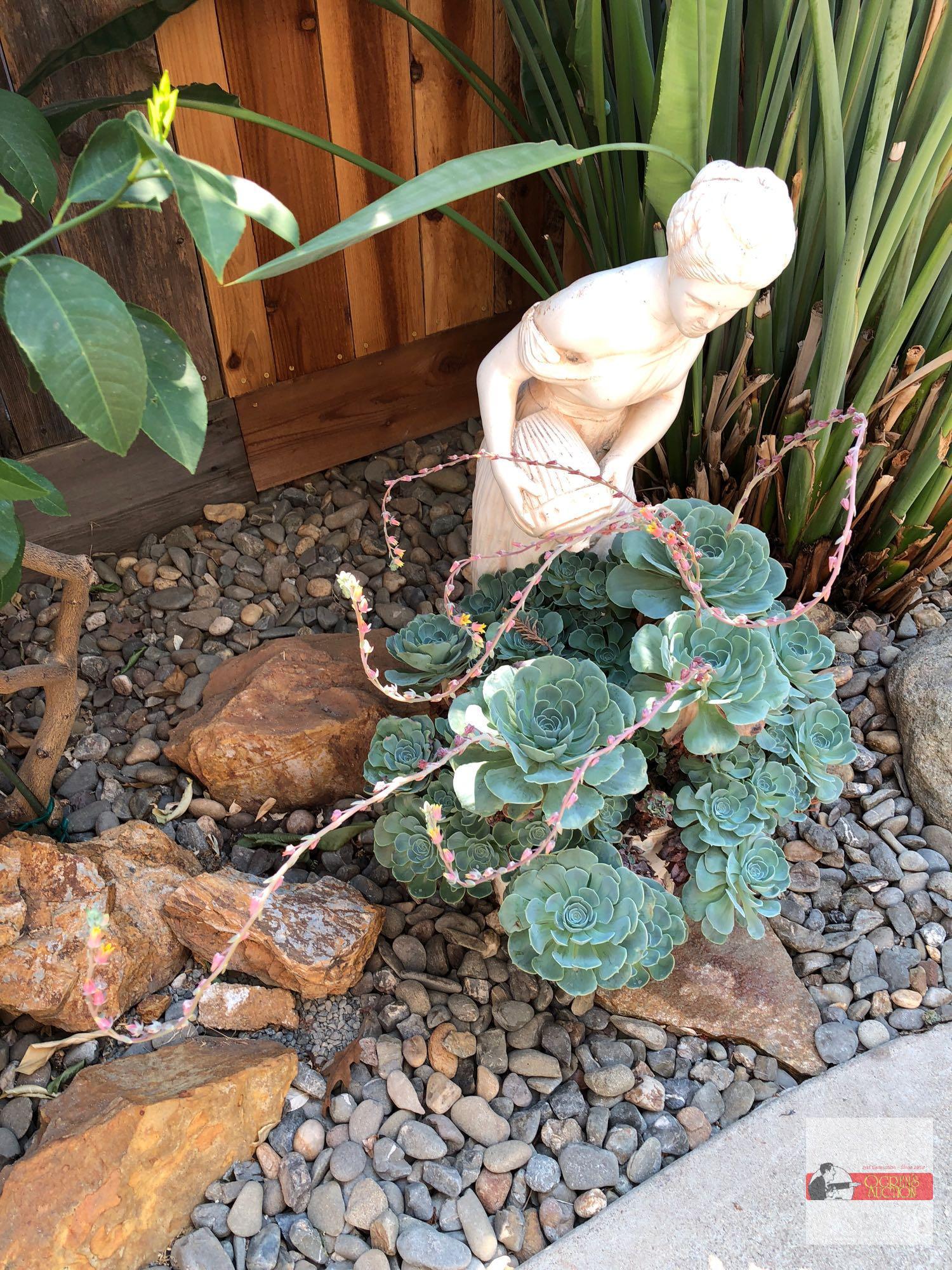 Yard & Garden - Woman w/urn statuary planter, potted hens/chickens, 32"hx18"wx22"d, natural cracking