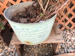 Yard & Garden - Galvanized bucket with succulents and wooden bench