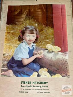 Ephemera - 1953 wall advertising calendar, Fisher Hatchery, Wilson, Kansas