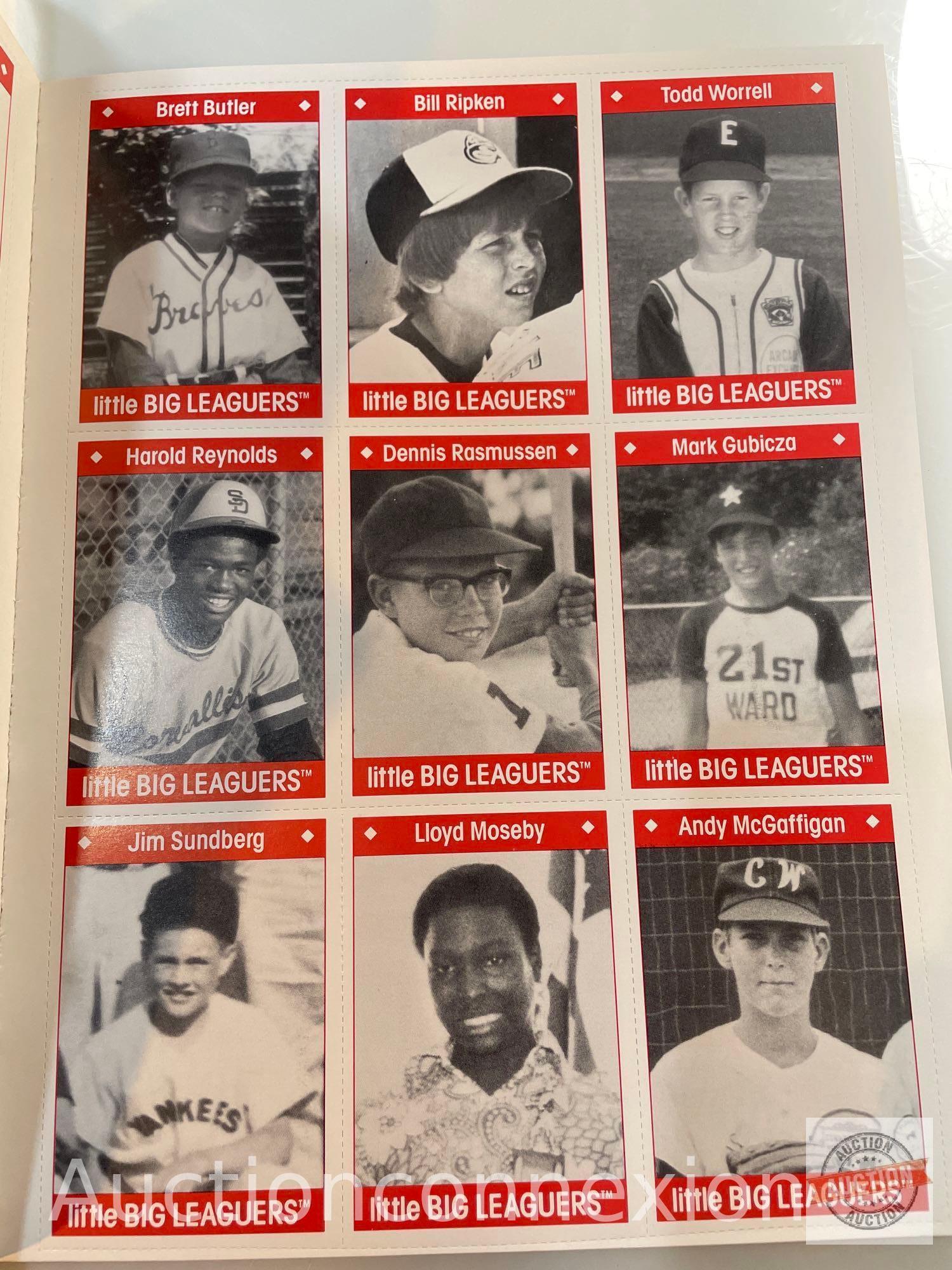 Sports - Little Big Leaguers