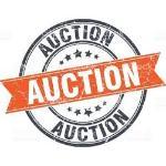 Auction Connexion