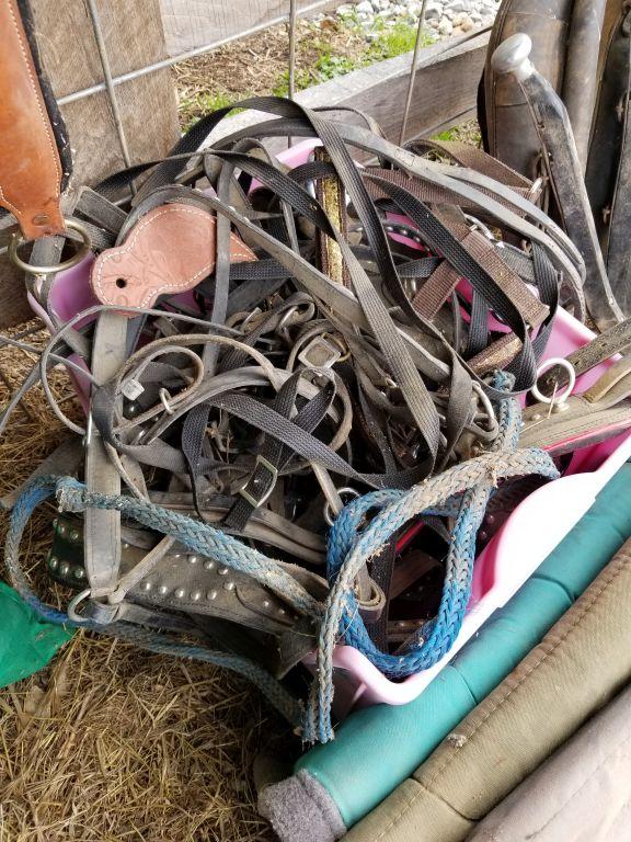 PINK TOTE OF HORSE TACK: HALTERS, STIRRUPS, AND MORE AND 3 SADDLE PADS