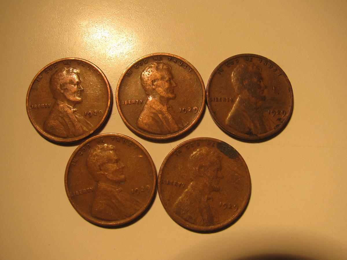 US Coins: 5x1929 Wheat Pennies