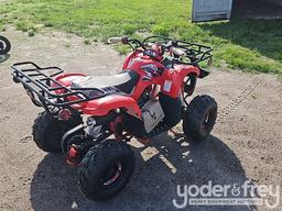 Unused 125 CC ATV (Red)