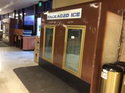 2 door ice merchandizer