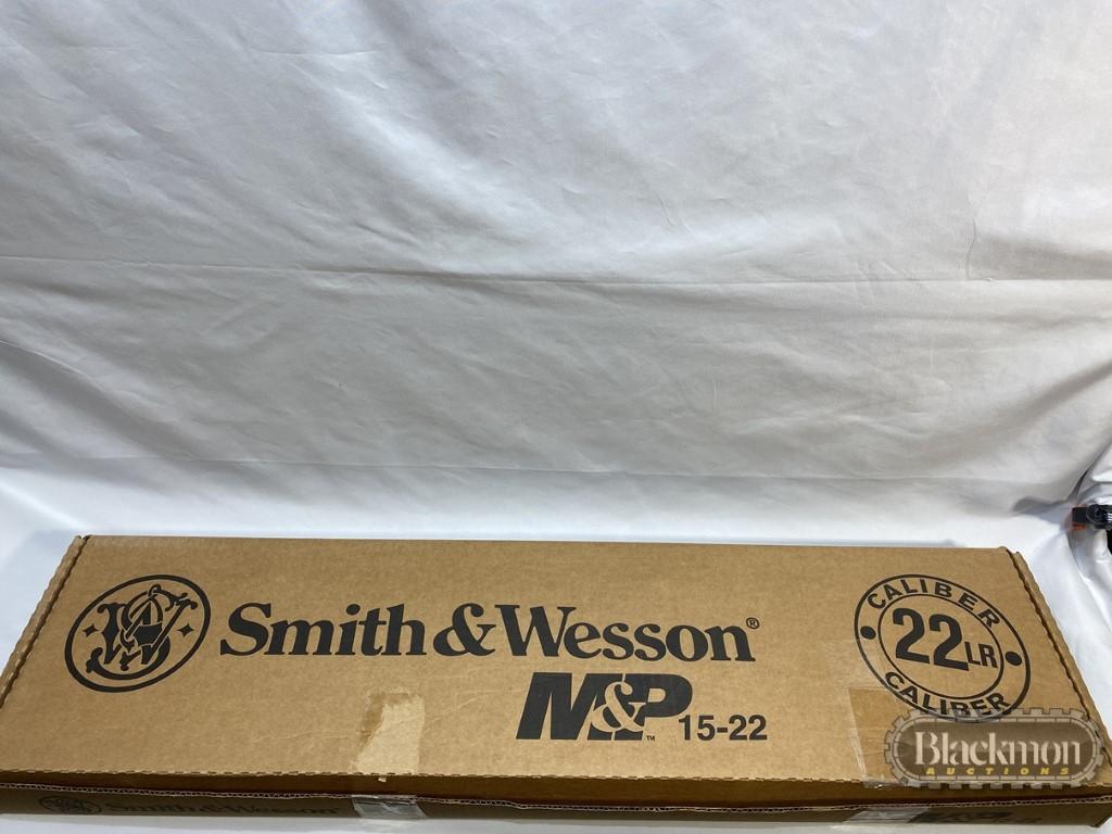 Smith & Wesson M & P 15-22 - 22 Caliber
