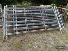 Cattle Panel