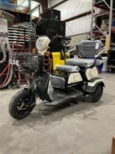 UNUSED 2025 SDLOOL 3WHEEL CART, ELECTRIC, LED SMART OPERATION SCREEN, NO BATTERY, BILL OF SALE ONLY