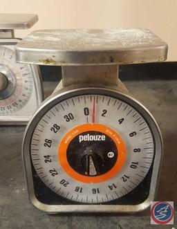 (2) Rubbermaid Pelouze Scales Model No Y32R, Taylor Scale Model TS25KL